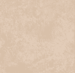 اس پی ال