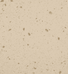 سامسونگ